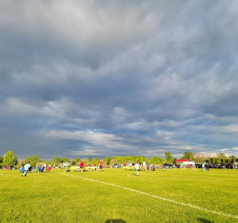 Soccer Field image 2