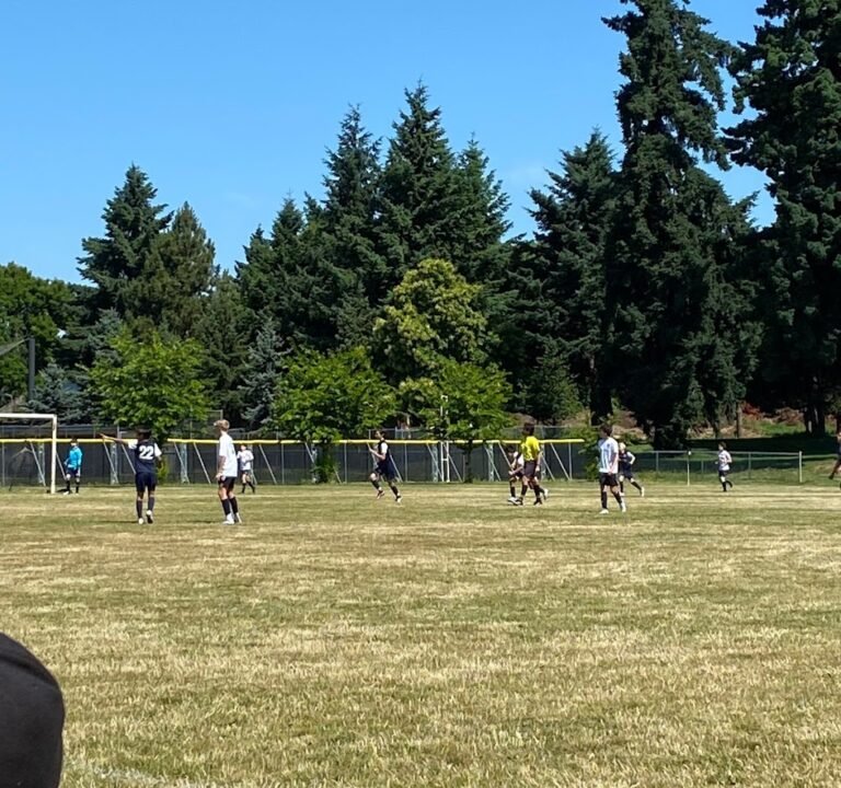 Soccer Field image 2