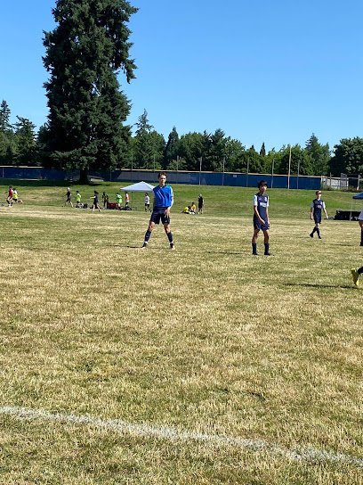 Soccer Field image 1