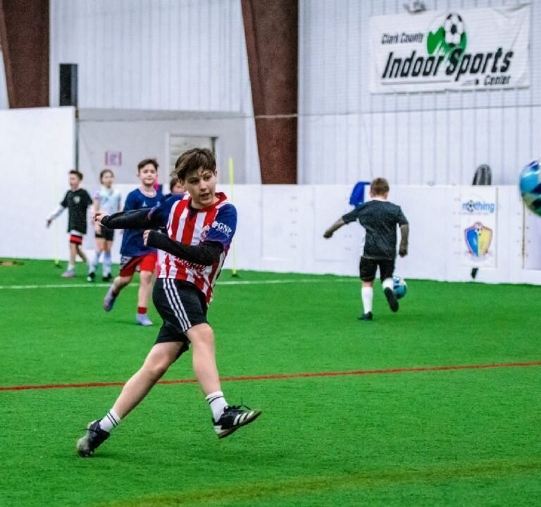 Soccer Field image 2