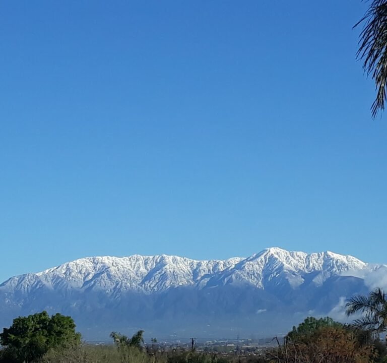 Soccer Field image 2
