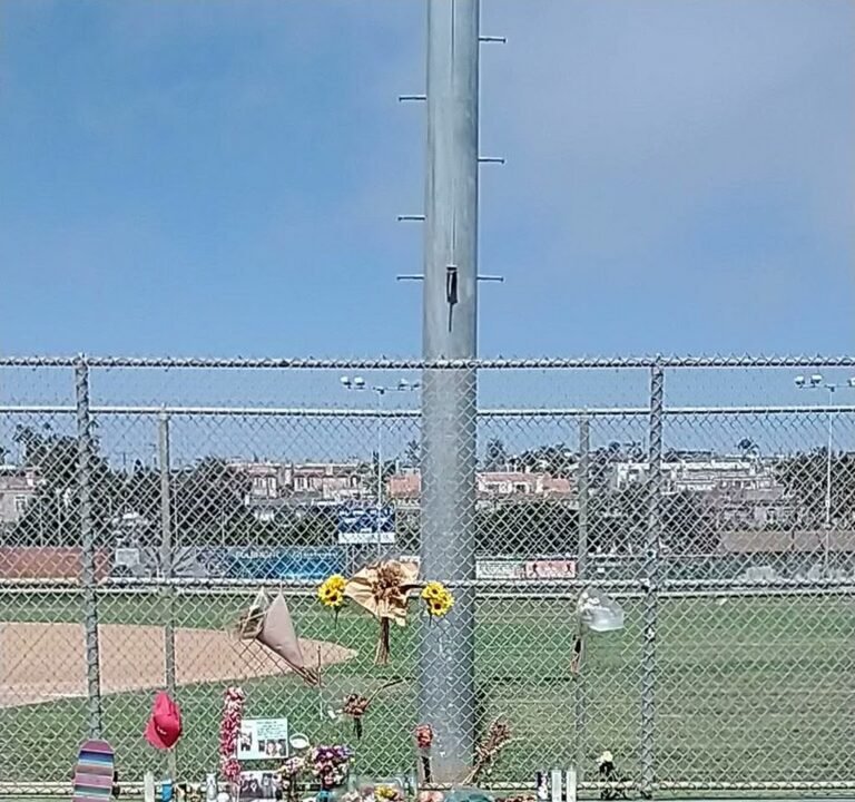 Soccer Field image 4