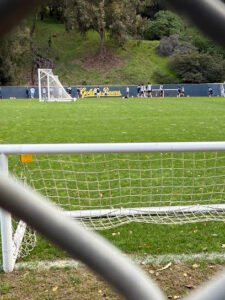 Soccer Field image 1