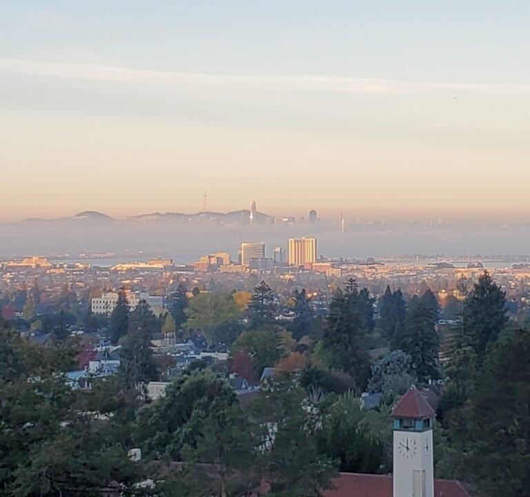 Soccer Field image 2