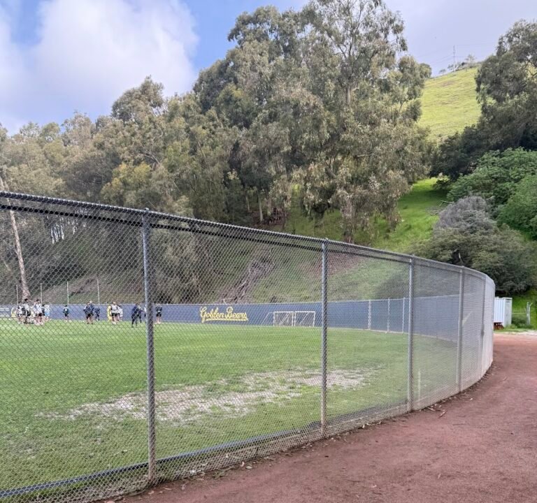 Soccer Field image 3