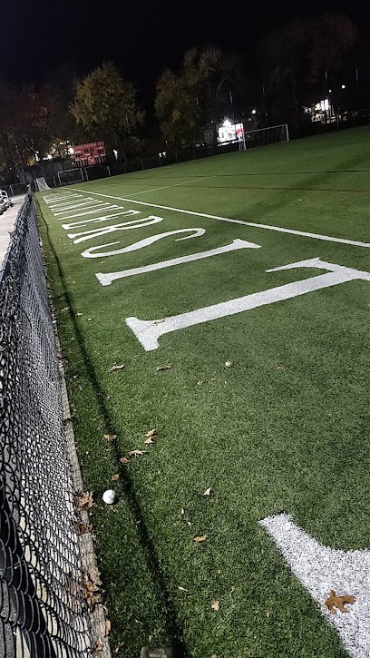 Soccer Field image 1