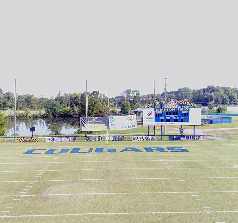 Soccer Field image 2