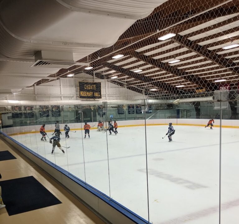 Soccer Field image 2