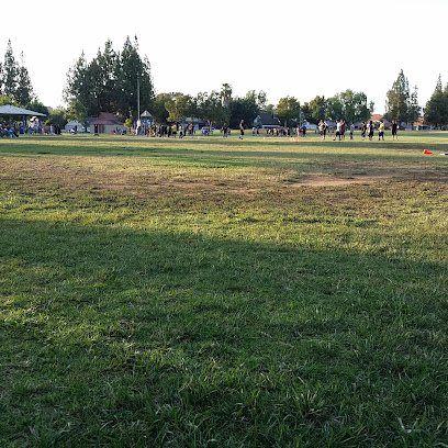 Soccer Field image 1