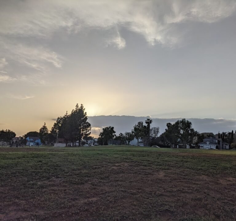 Soccer Field image 3