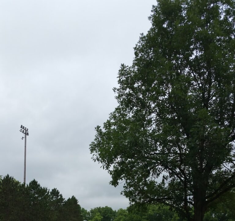 Soccer Field image 2