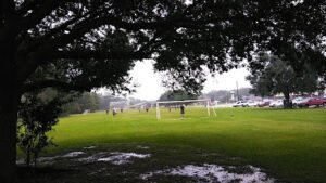 Soccer Field image 1