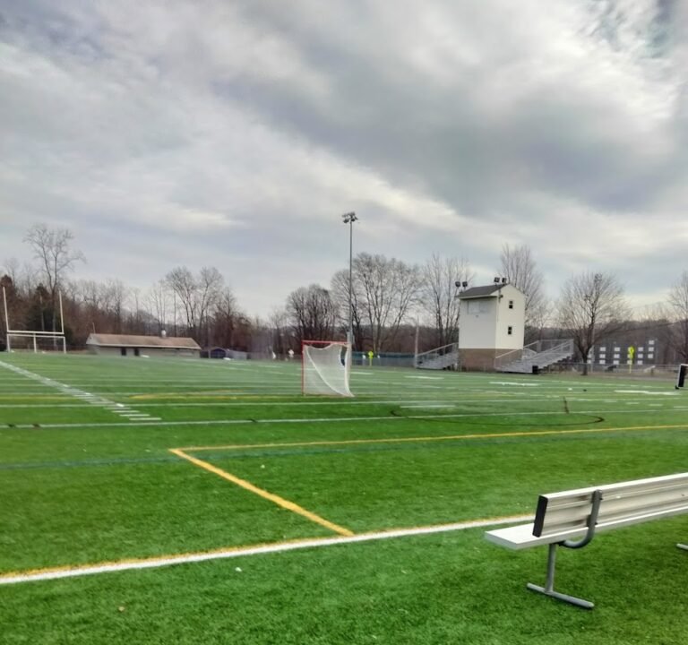 Soccer Field image 2