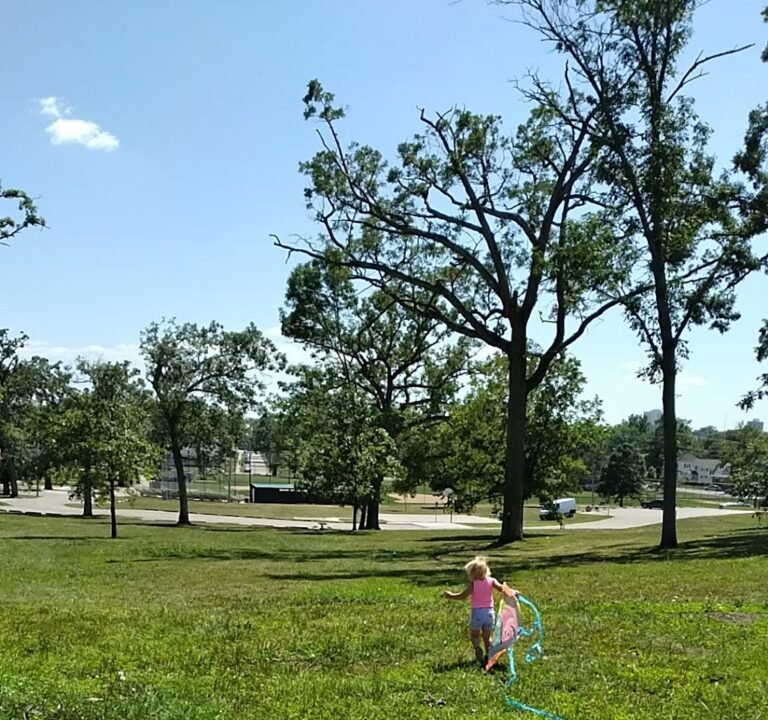 Soccer Field image 3
