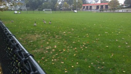 Soccer Field image 1