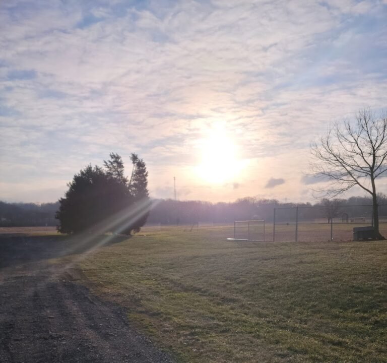 Soccer Field image 2