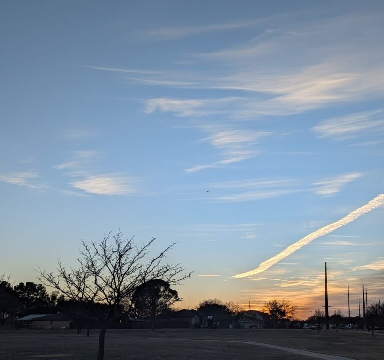 Soccer Field image 3