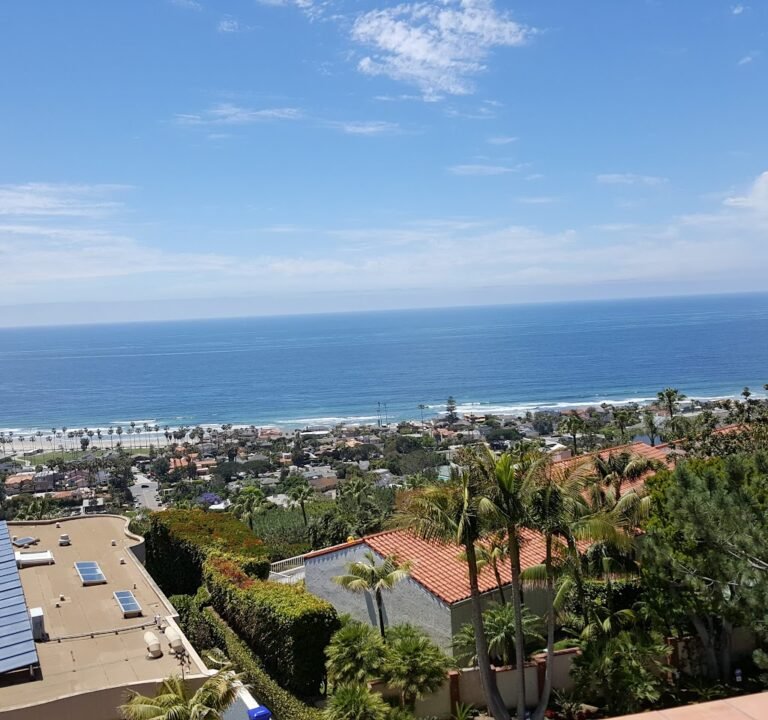 Soccer Field image 2