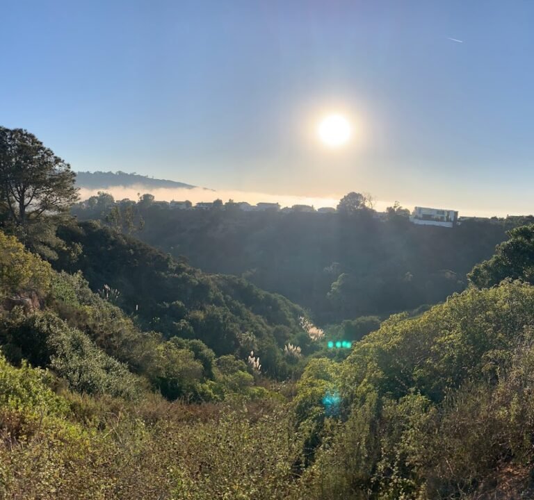 Soccer Field image 3