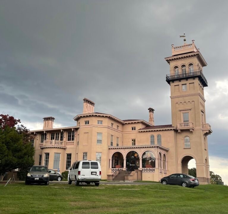 Soccer Field image 2