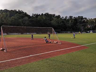 Soccer Field image 1
