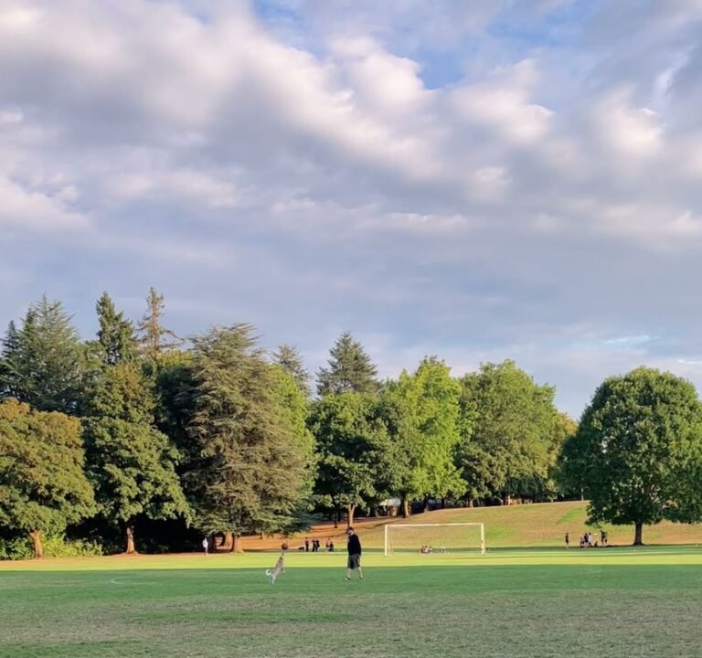 Soccer Field image 4