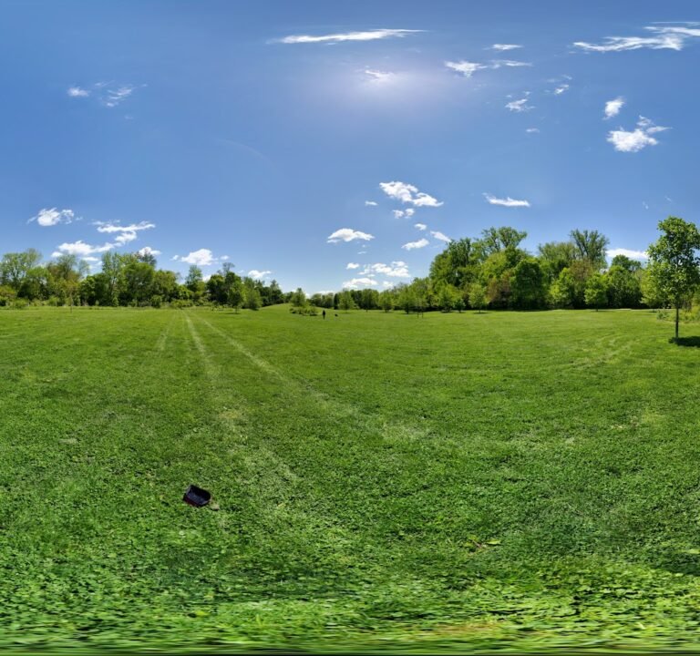 Soccer Field image 3