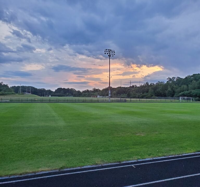 Soccer Field image 2