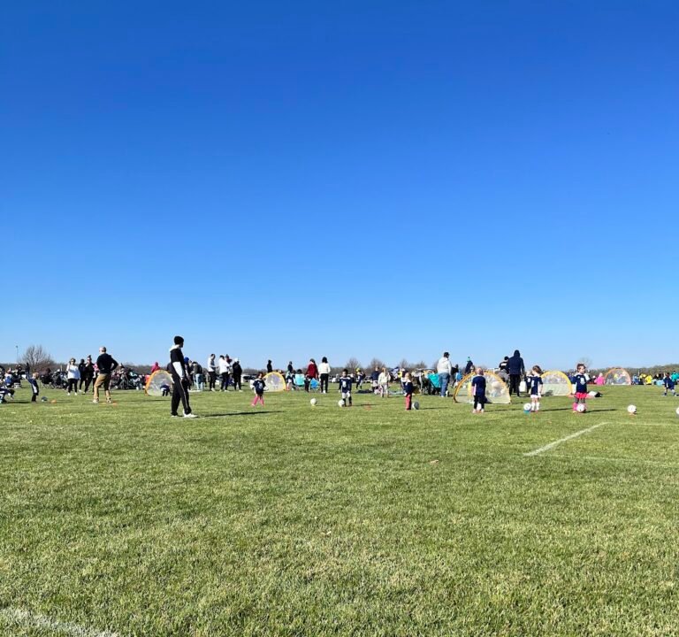 Soccer Field image 2