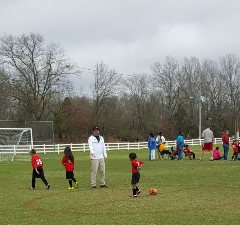 Soccer Field image 2