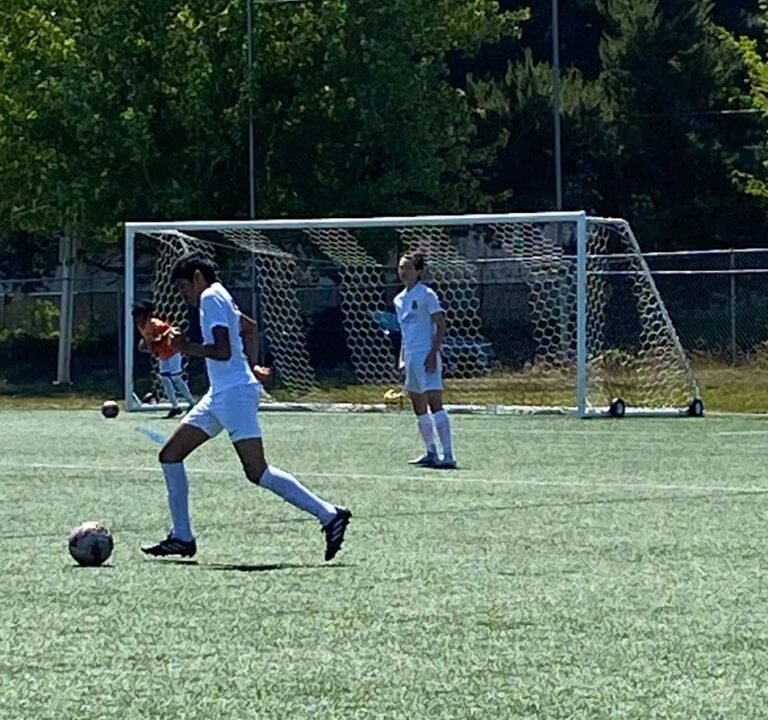 Soccer Field image 3