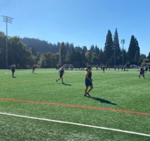 Soccer Field image 2