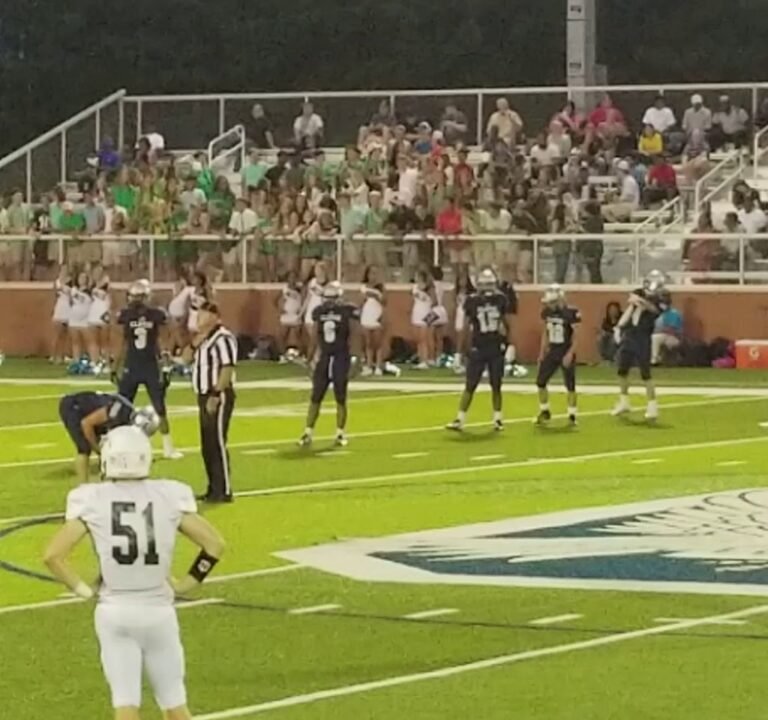 Soccer Field image 3