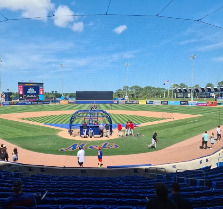 Soccer Field image 2