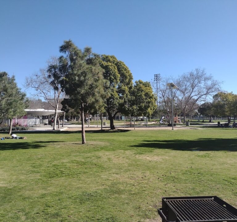 Soccer Field image 2