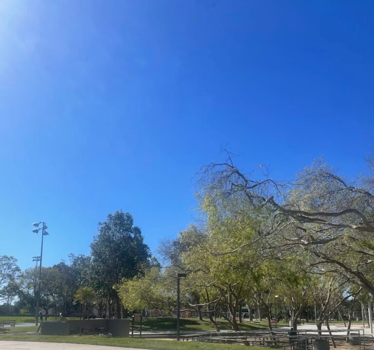Soccer Field image 3