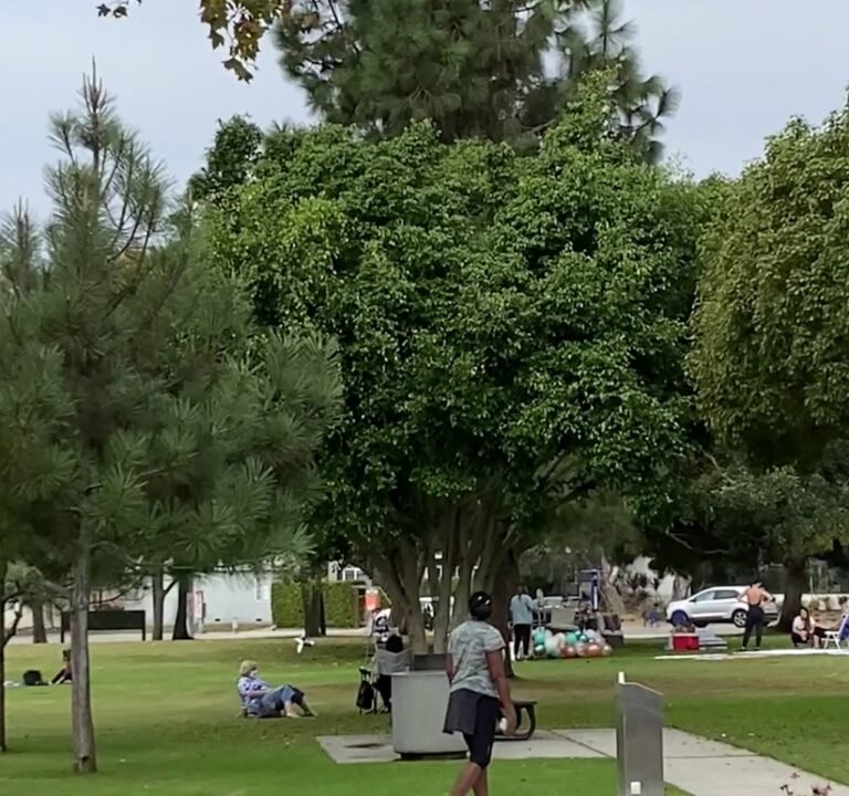 Soccer Field image 4