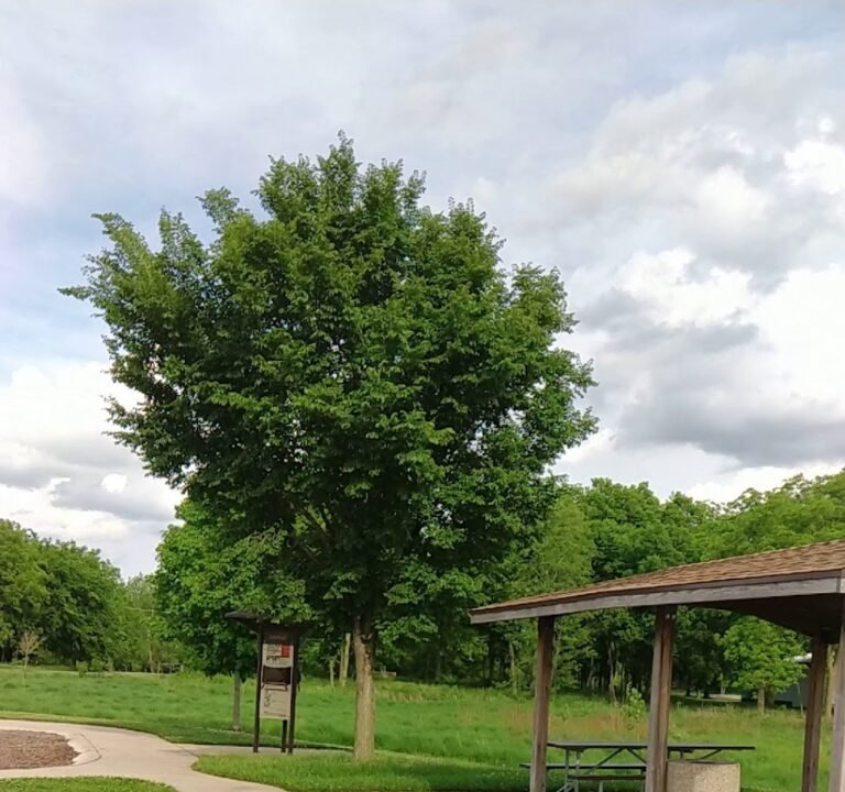 Soccer Field image 3