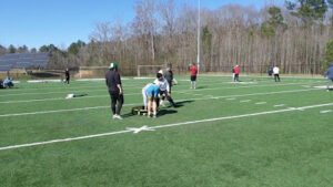 Soccer Field image 1