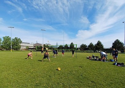 Soccer Field image 1