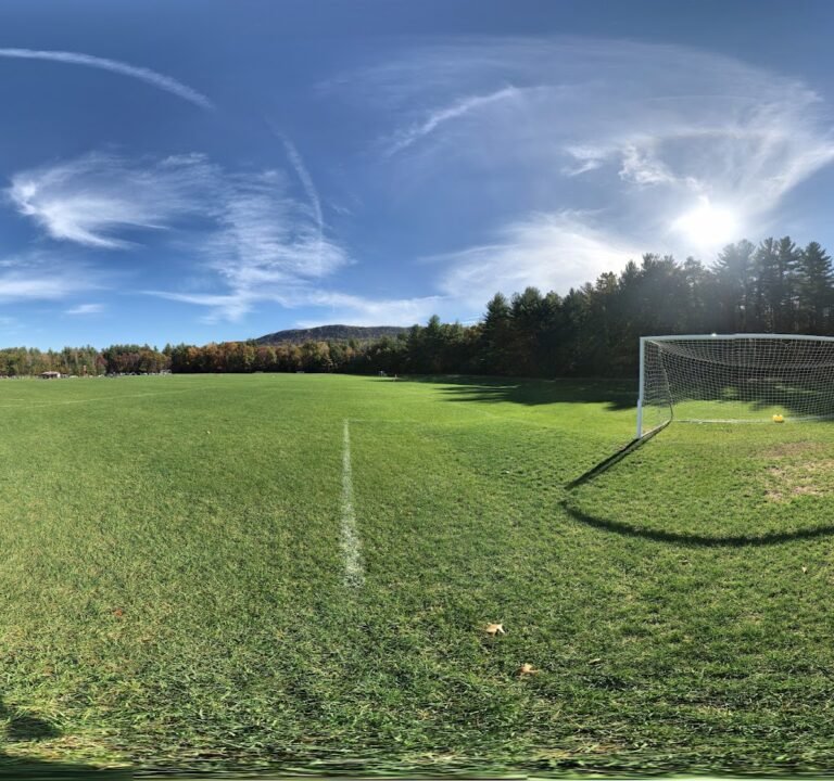 Soccer Field image 3