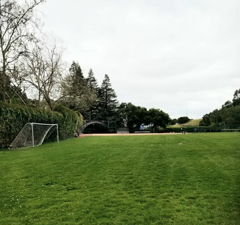 Soccer Field image 2