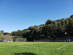 Soccer Field image 1