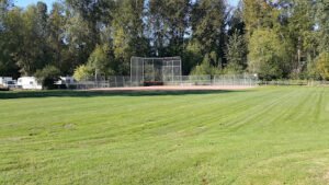 Soccer Field image 1