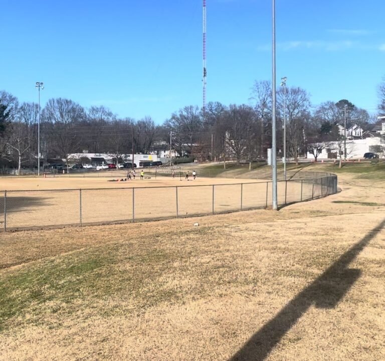 Soccer Field image 3