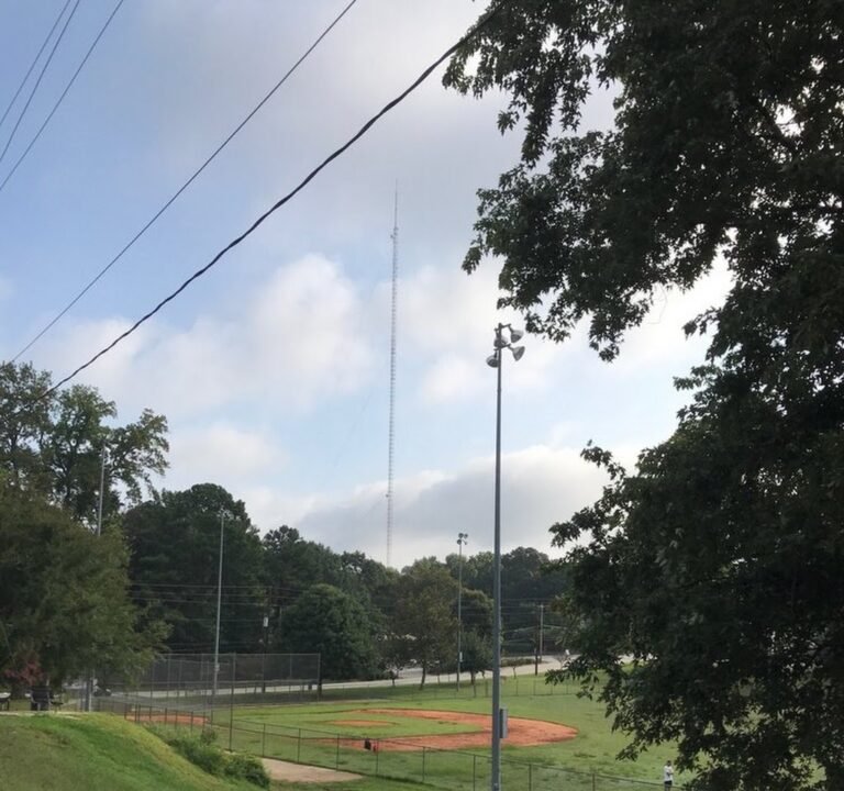 Soccer Field image 2