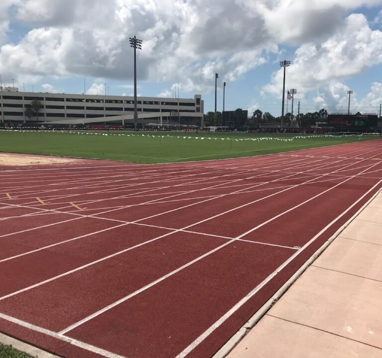 Soccer Field image 3