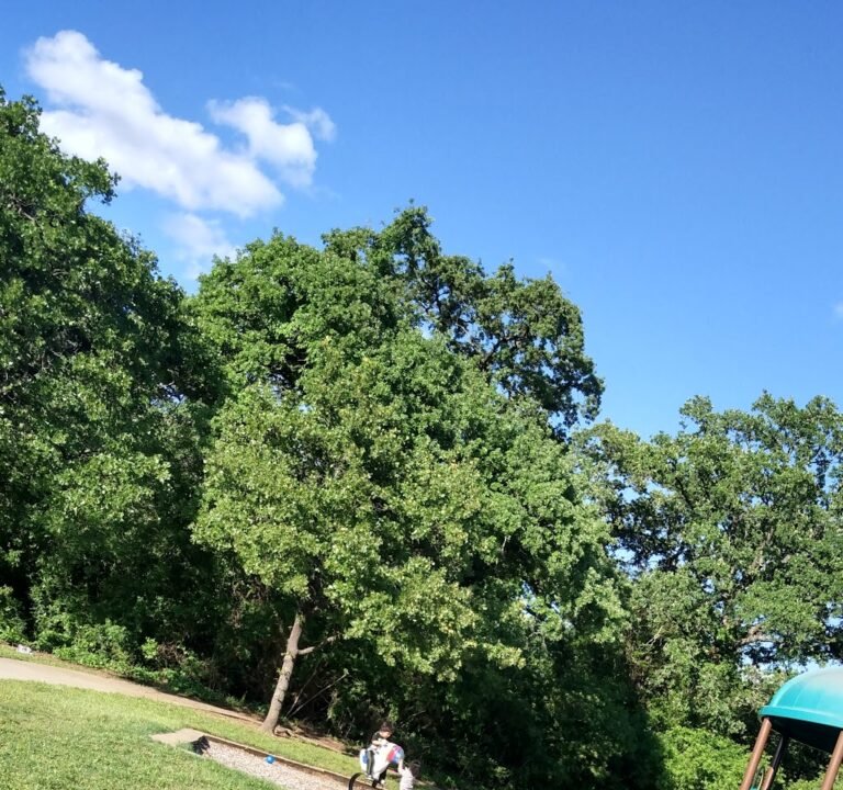 Soccer Field image 2