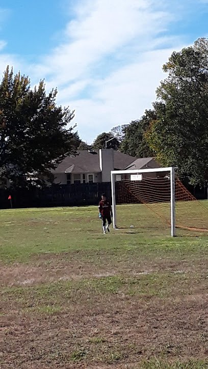 Soccer Field image 1