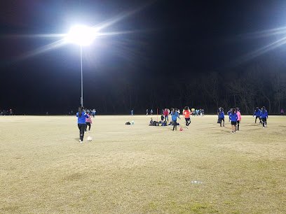 Soccer Field image 1
